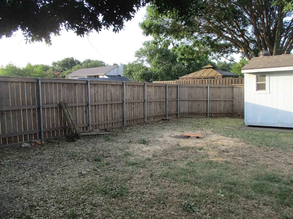 Cleared yard after professional tree removal in Tyrone